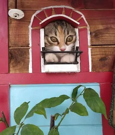 Il Giardino Incantato Appartamento *