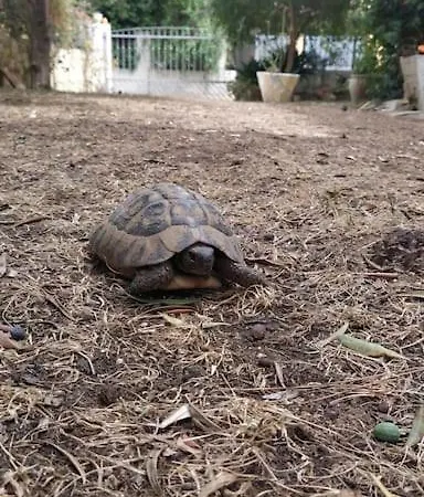 Il Giardino Incantato Appartement Su Forti