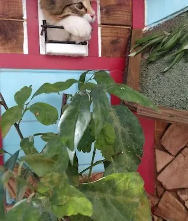 Апартаменты Il Giardino Incantato Su Forti